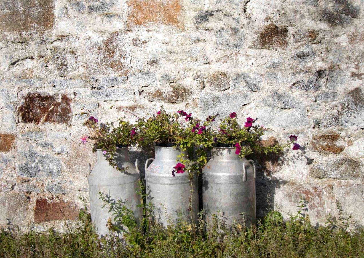 Bramble Cottage Rathfriland Zewnętrze zdjęcie